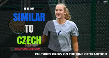 Bosnia vs. Czech Republic: Exploring Cultural, Historical, and Geographic Similarities