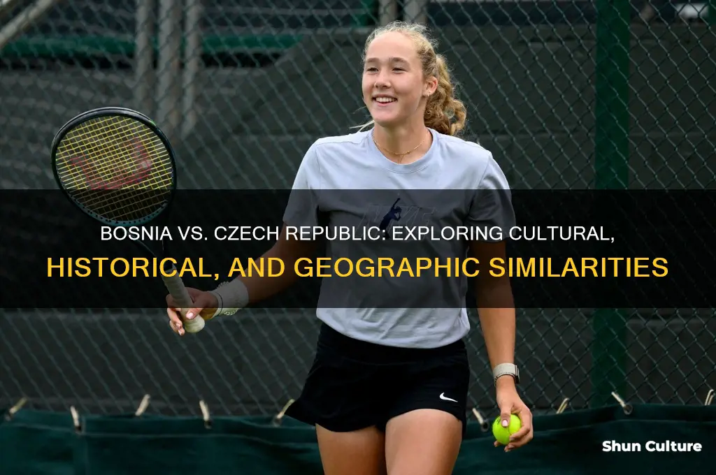 is bosnia similar to czech