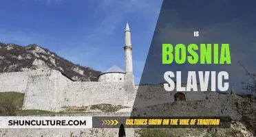 Is Bosnia Slavic? Exploring the Cultural and Linguistic Heritage