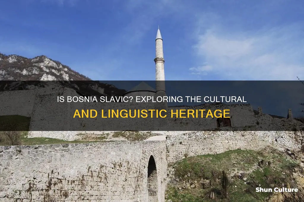 is bosnia slavic