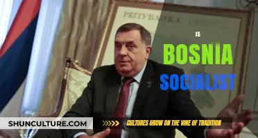 Is Bosnia Socialist? Exploring Its Political and Economic System Today