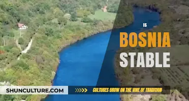 Is Bosnia Stable? Analyzing Political, Economic, and Social Factors Today