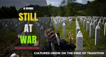 Is Bosnia Still at War? Unraveling the Current Peace and Tensions