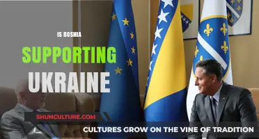 Bosnia's Stance on Ukraine: Support, Neutrality, or Strategic Silence?
