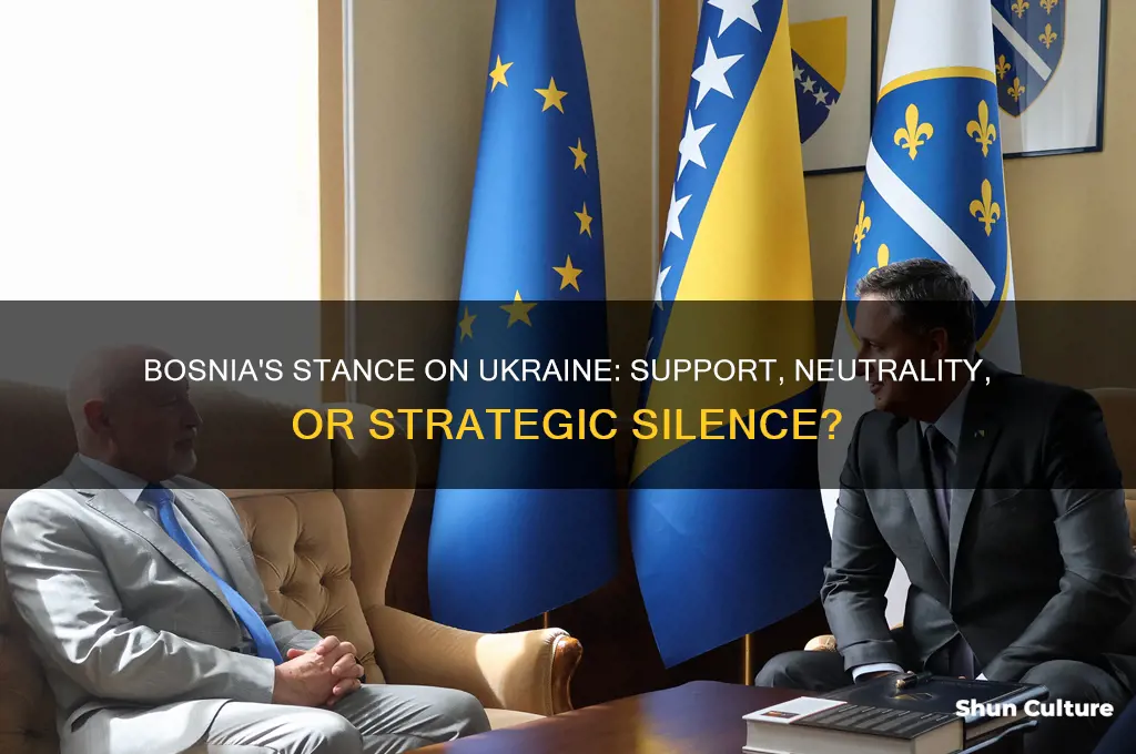 is bosnia supporting ukraine