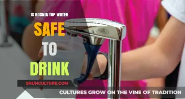 Is Bosnia's Tap Water Safe? A Comprehensive Guide for Travelers