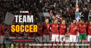 Exploring Bosnia's National Soccer Team: History, Achievements, and Future Prospects