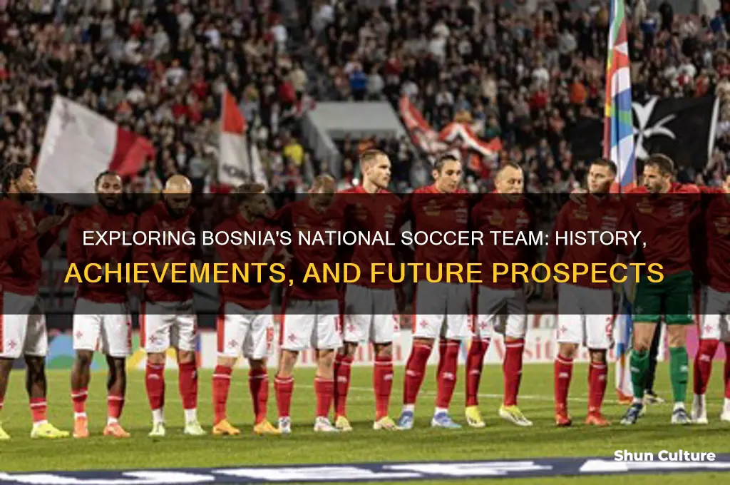 is bosnia team soccer
