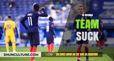 Bosnia's National Team: Underperforming or Underrated? A Critical Analysis
