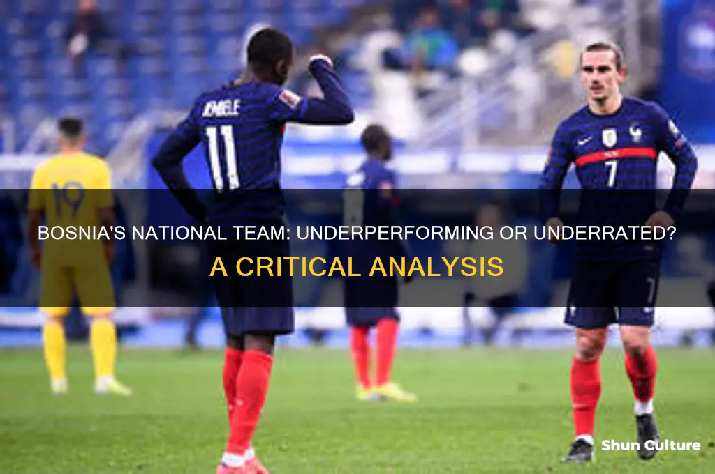 is bosnia team suck