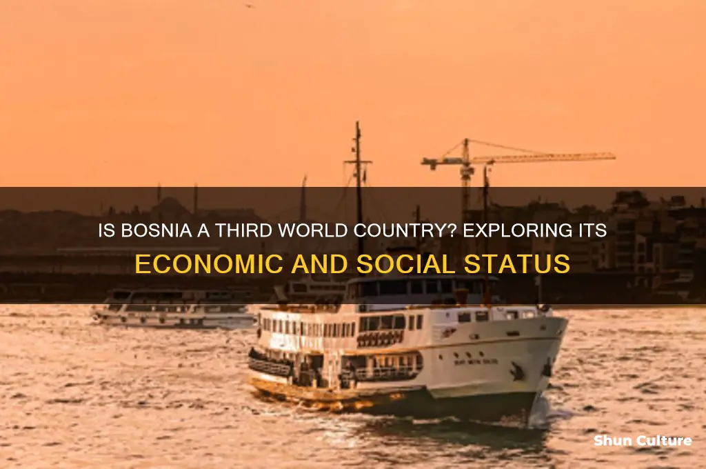 is bosnia third world