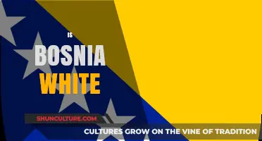 Is Bosnia White? Exploring Ethnicity, Identity, and Cultural Diversity