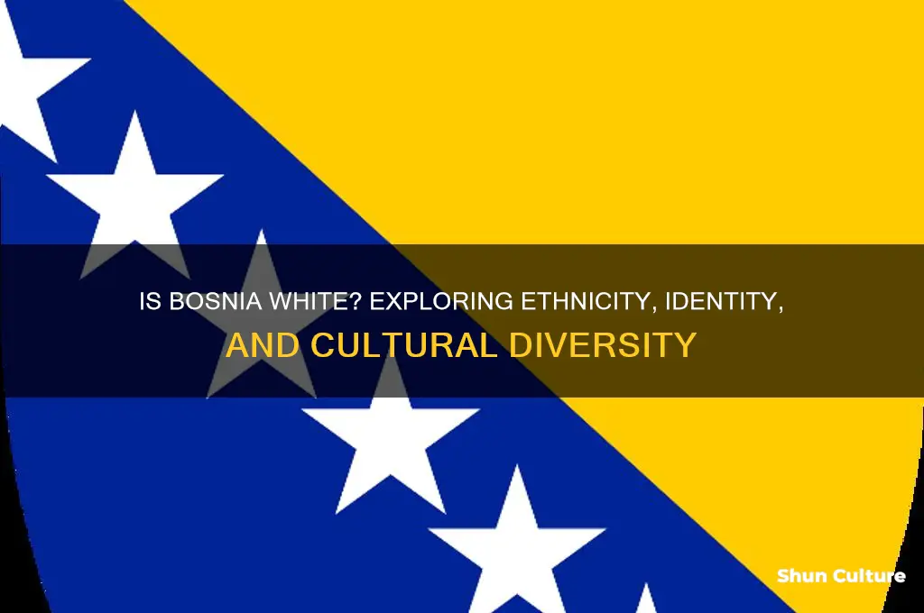 is bosnia white