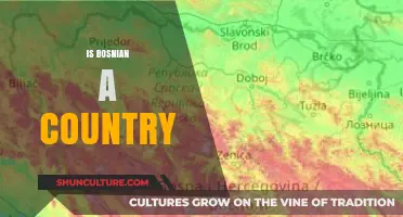 Is Bosnia a Country? Understanding Bosnia and Herzegovina's Status