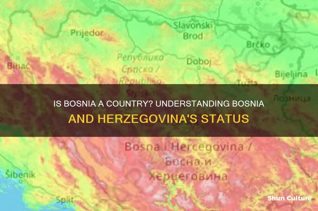 is bosnian a country