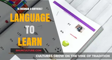 Is Bosnian Hard to Learn? A Comprehensive Language Learning Guide