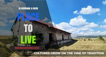 Discovering Bosnia: Quality of Life, Culture, and Living Conditions Explored