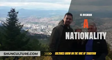 Is Bosnian a Nationality? Understanding Bosnia and Herzegovina's Identity