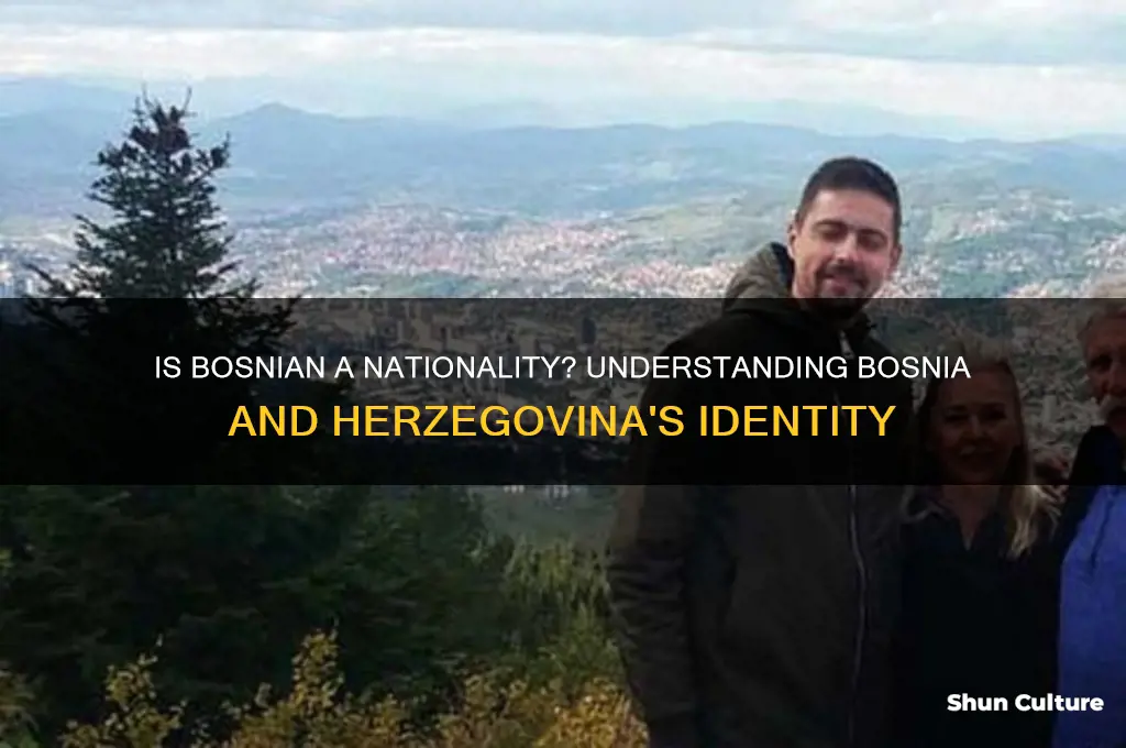 is bosnian a nationality