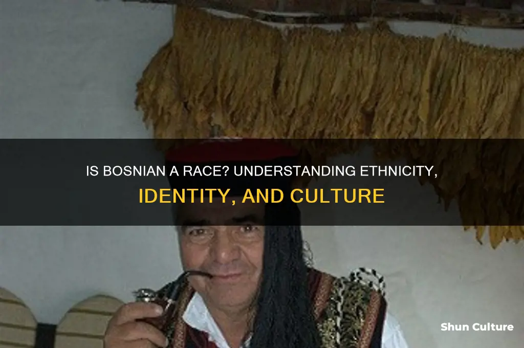 is bosnian a race