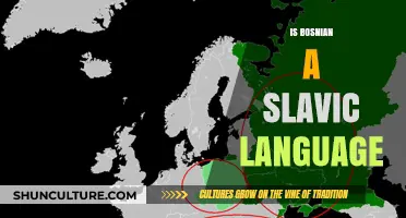 Is Bosnian a Slavic Language? Exploring Its Origins and Connections