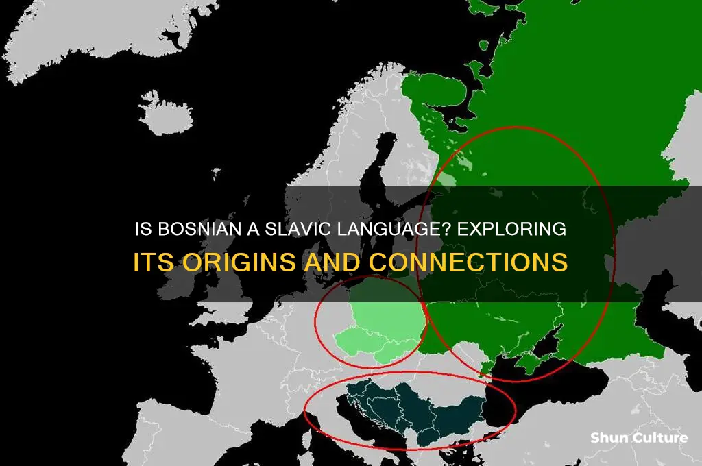 is bosnian a slavic language