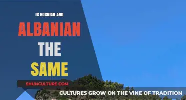 Bosnian vs. Albanian: Unraveling the Differences Between Two Balkan Languages