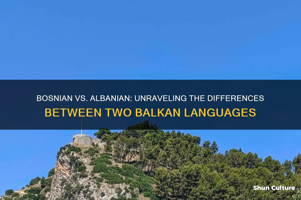is bosnian and albanian the same