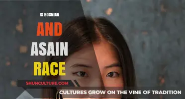 Exploring Bosnian and Asian Racial Identities: Cultural Connections and Differences