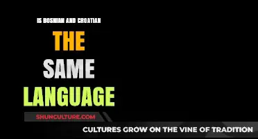 Bosnian vs. Croatian: Unraveling the Linguistic Similarities and Differences
