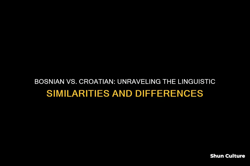 is bosnian and croatian the same language