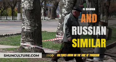 Bosnian vs. Russian: Unraveling Linguistic Similarities and Key Differences