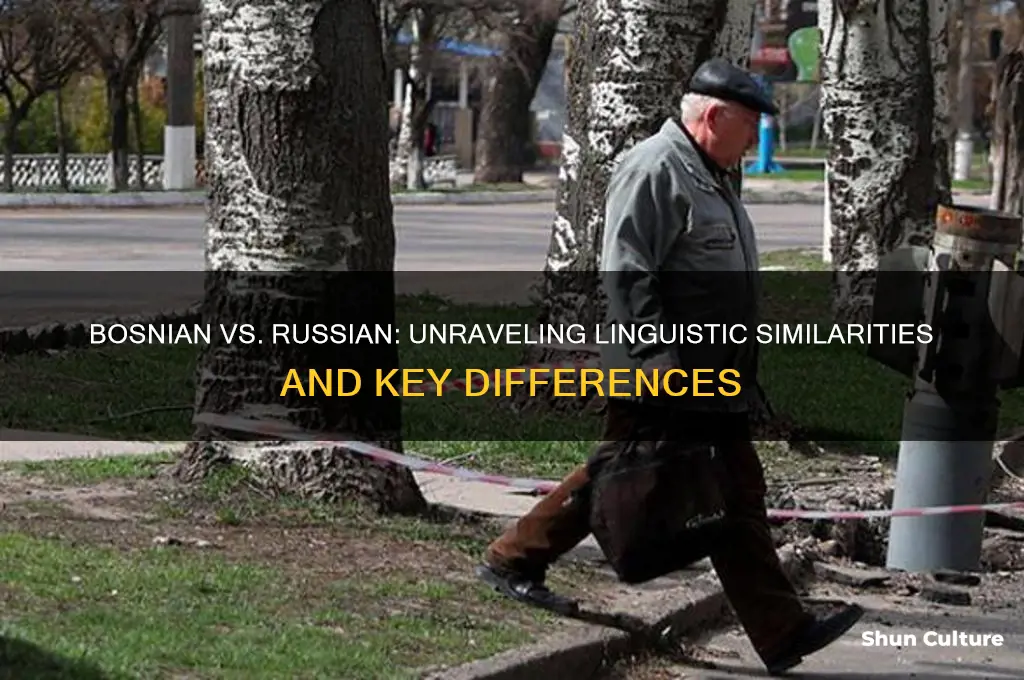 is bosnian and russian similar