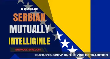 Are Bosnian and Serbian Mutually Intelligible? Exploring Language Similarities
