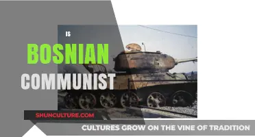Exploring Bosnia's Communist History: Myths, Facts, and Legacy