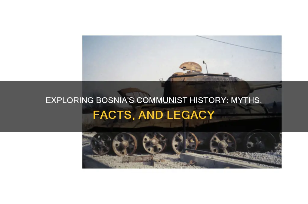is bosnian communist