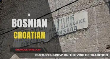Is Bosnian Croatian? Exploring Language Similarities and Cultural Connections