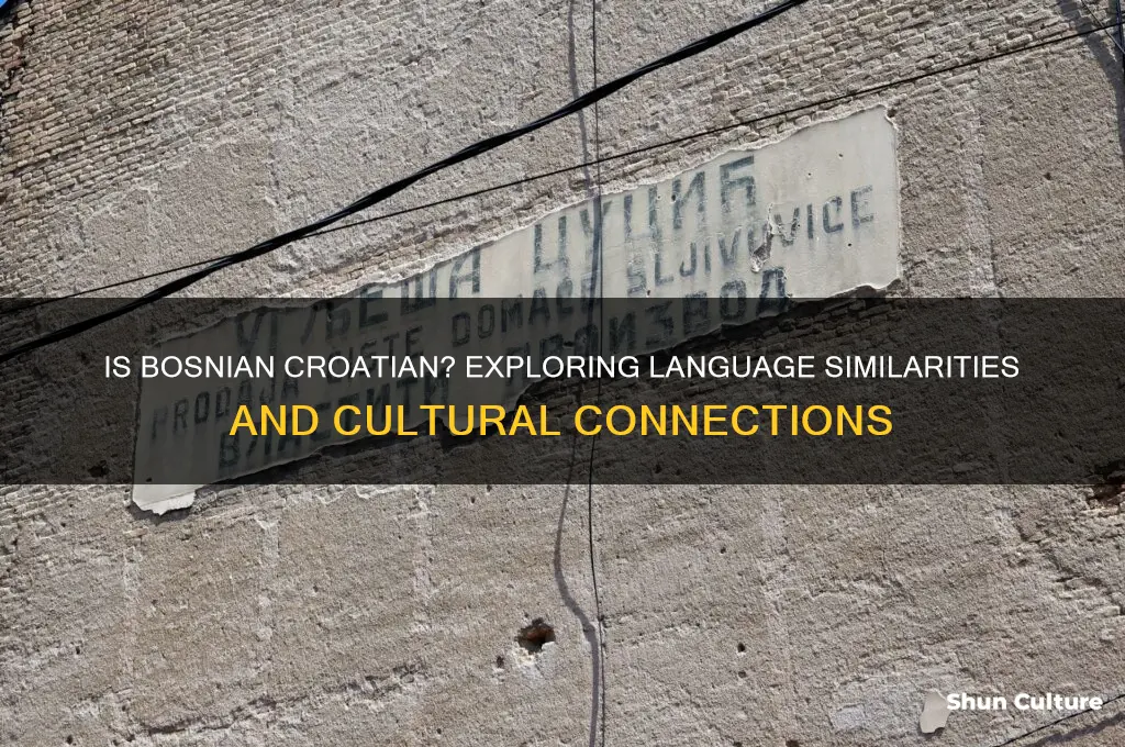 is bosnian croatian