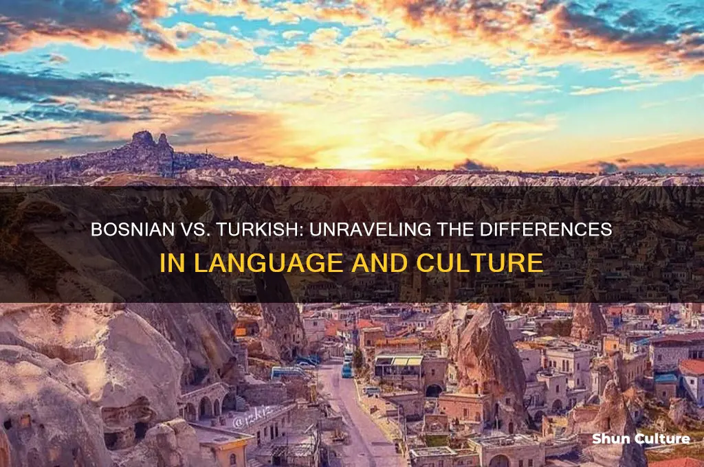 is bosnian different than turkish