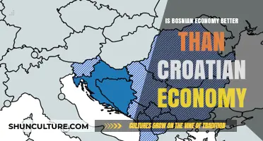 Comparing Bosnia and Croatia: Which Economy Outperforms in the Balkans?