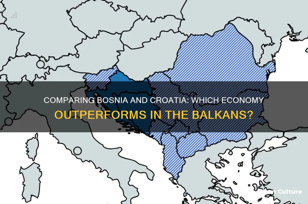 is bosnian economy better than croatian economy