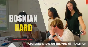 Is Bosnian Hard to Learn? Unlocking the Language's Challenges and Rewards