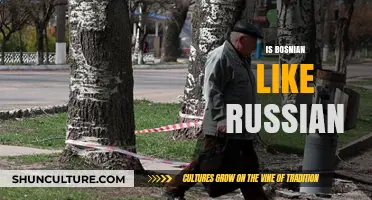 Is Bosnian Like Russian? Exploring Language Similarities and Differences