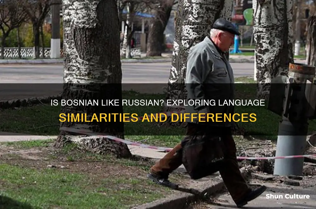 is bosnian like russian