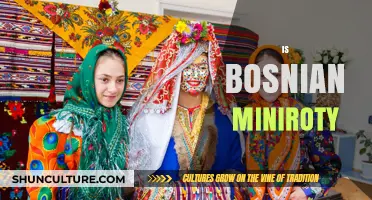 Understanding the Bosnian Minority: Identity, Challenges, and Cultural Resilience