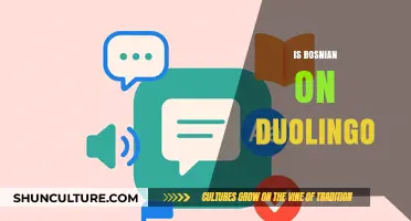 Is Bosnian on Duolingo? Exploring Language Learning Options and Alternatives