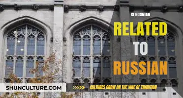 Is Bosnian Related to Russian? Exploring Slavic Language Connections