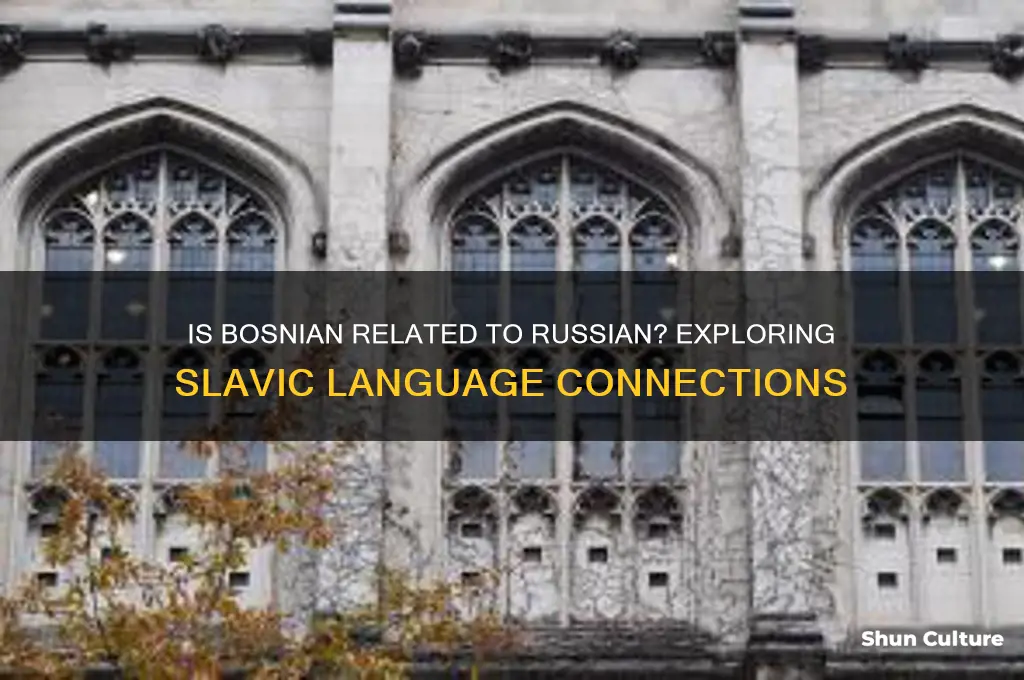 is bosnian related to russian