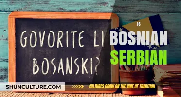 Is Bosnian Serbian? Exploring Language, Culture, and Identity Differences