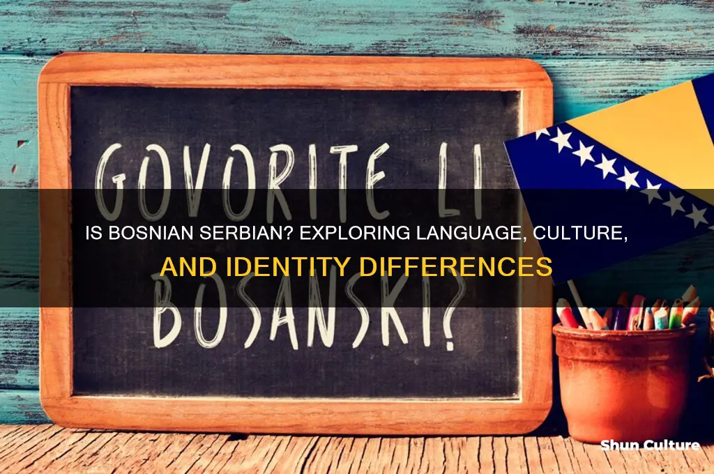 is bosnian serbian